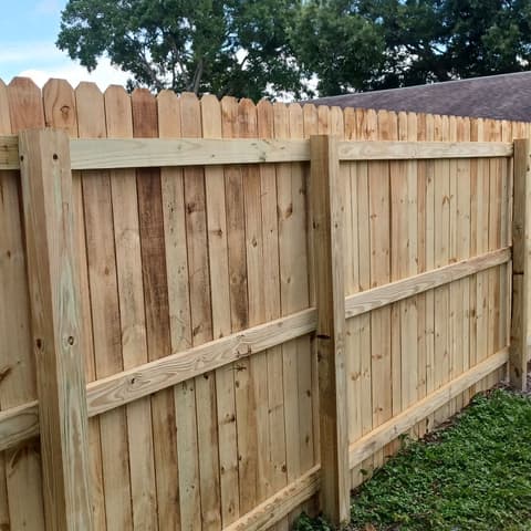 Tall dog-ear wood privacy fence in full sun