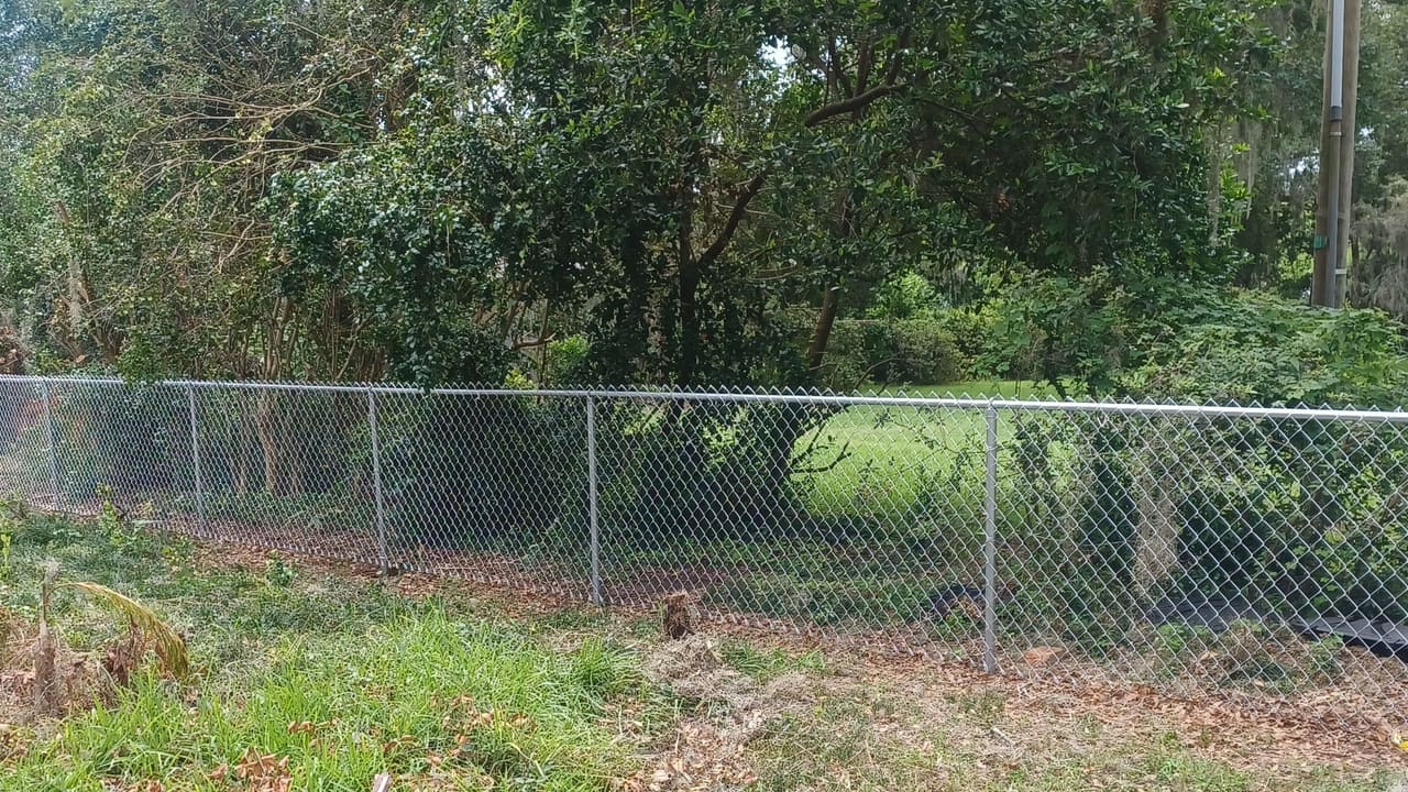 A galvanised chain link fence with top rail and gate enclosing a wooded Florida lot